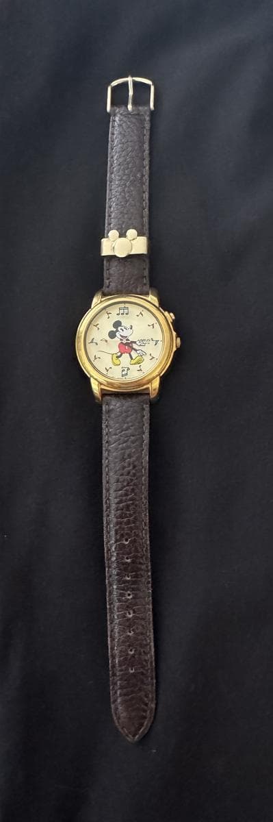 Dizzy Ducks WATCH SALE photo 1