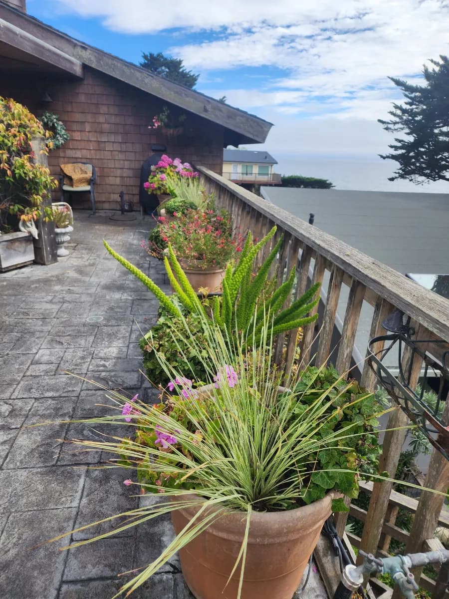 Watsonville-Sunset Beach photo 1