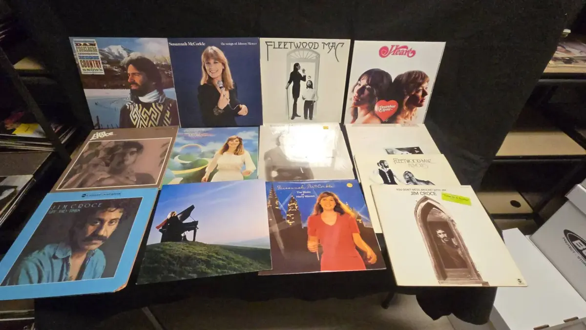 Vinyl Collector's Dream photo 1