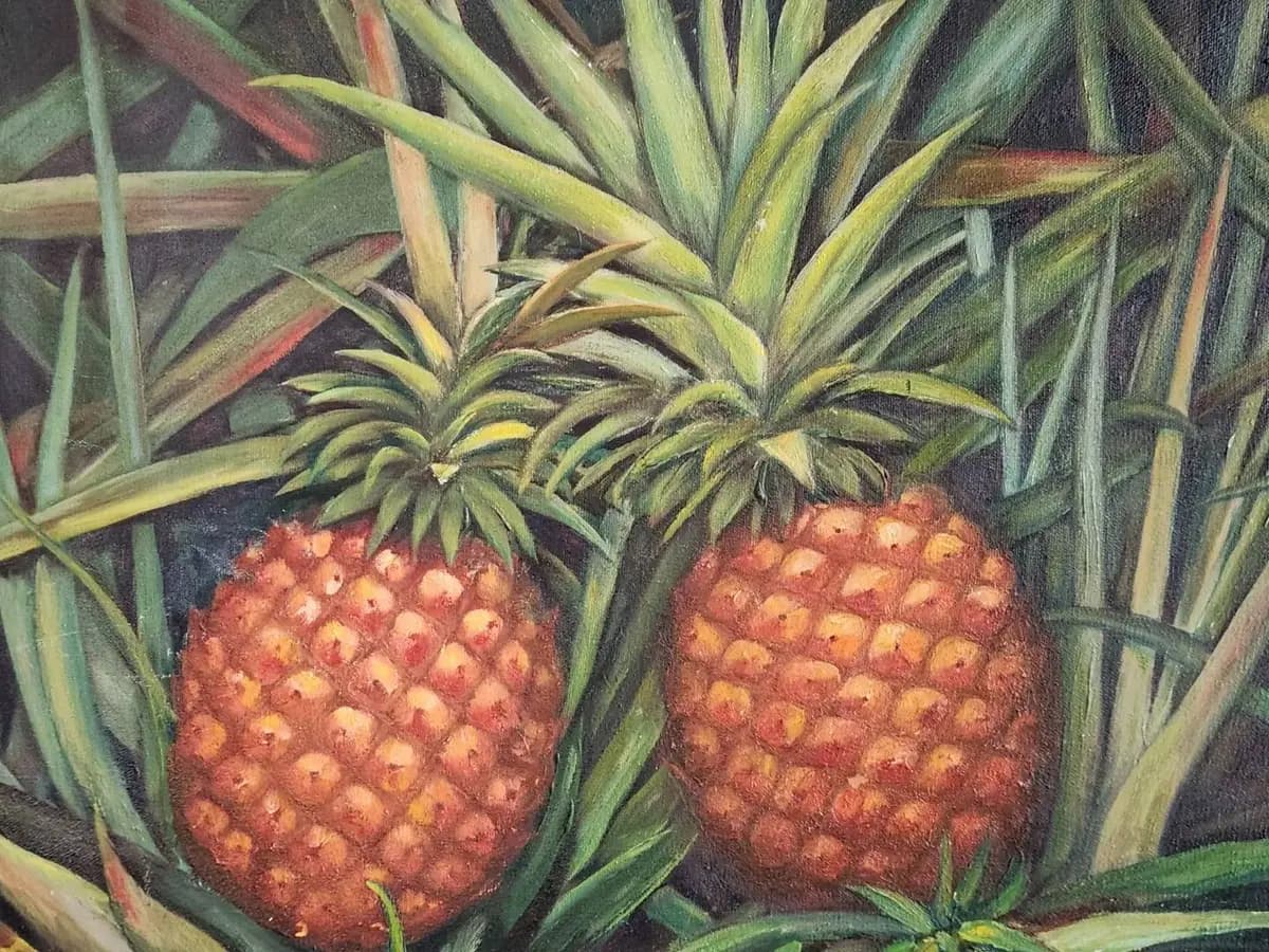 THE GREAT PINEAPPLE COLLECTIBLE SALE! photo 1