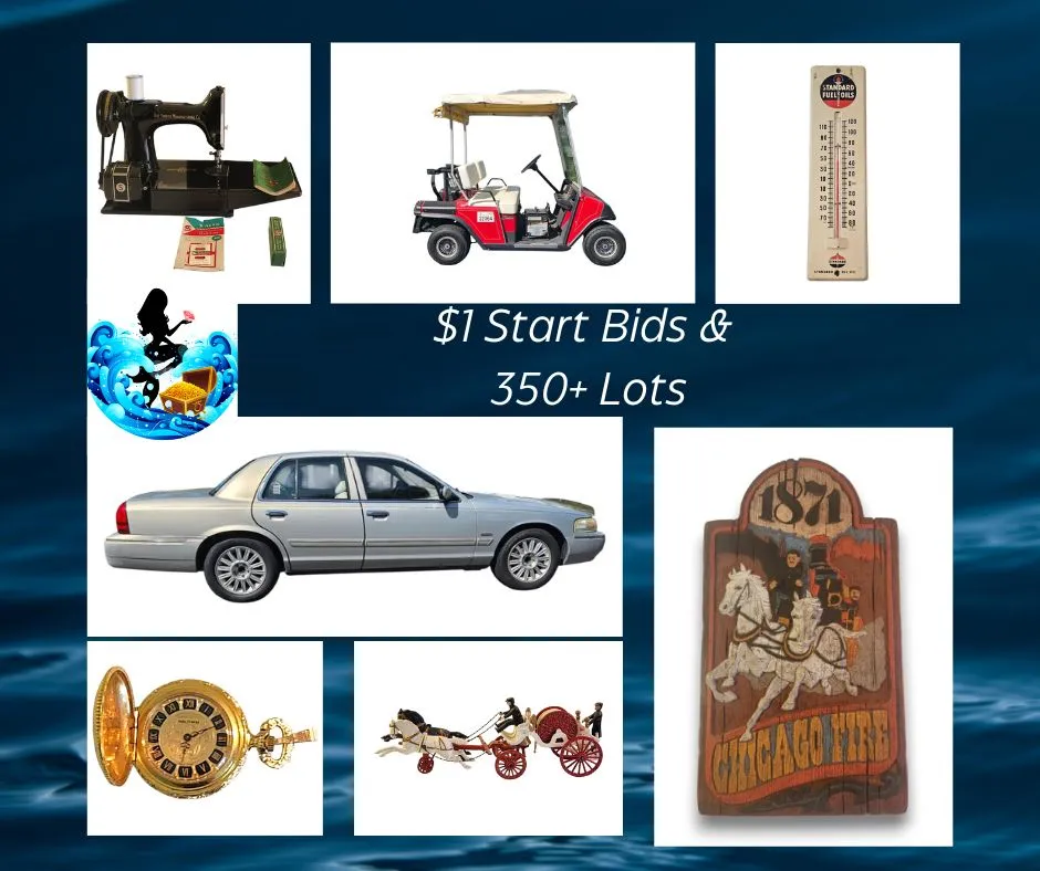 WHOLE HOUSE ONLINE ESTATE AUCTION photo 1