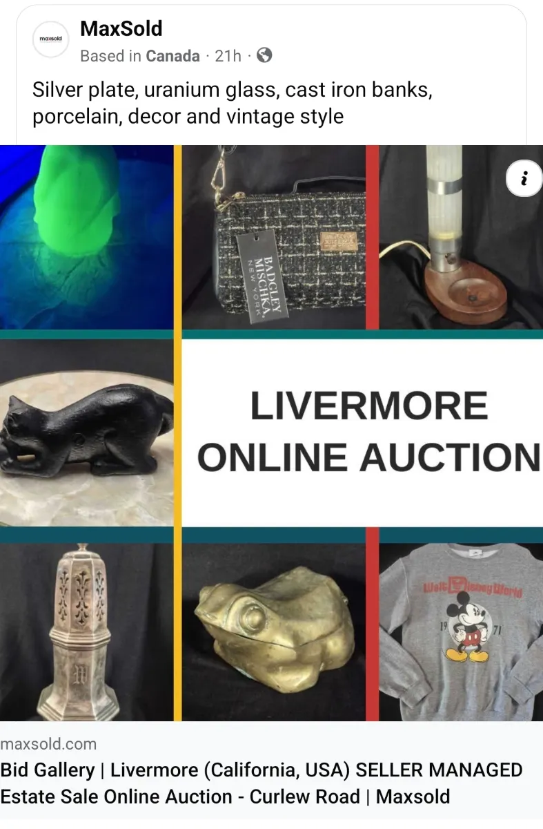 The Treasure Wall Estates Live Auction ends 7/31! Livermore pickup only photo 1