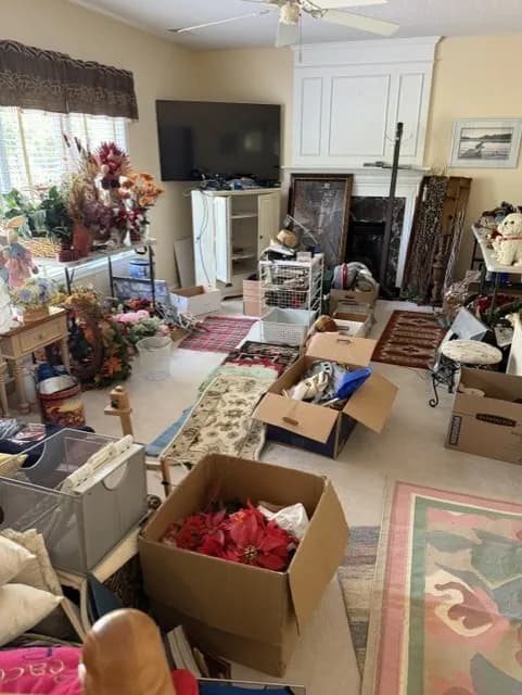 Lakeville Garage Sale photo 1
