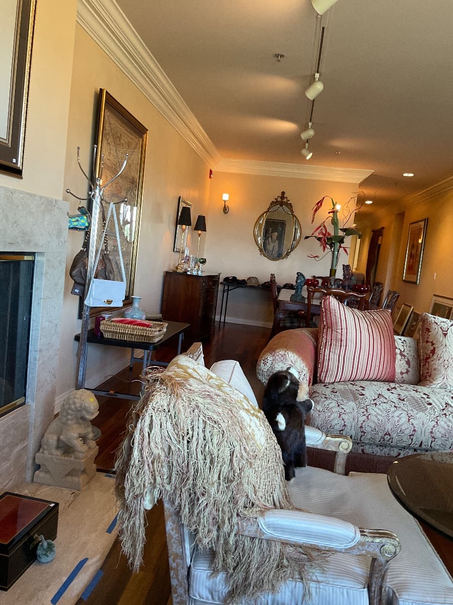 Monday San Mateo Estate Sale continuation photo 1