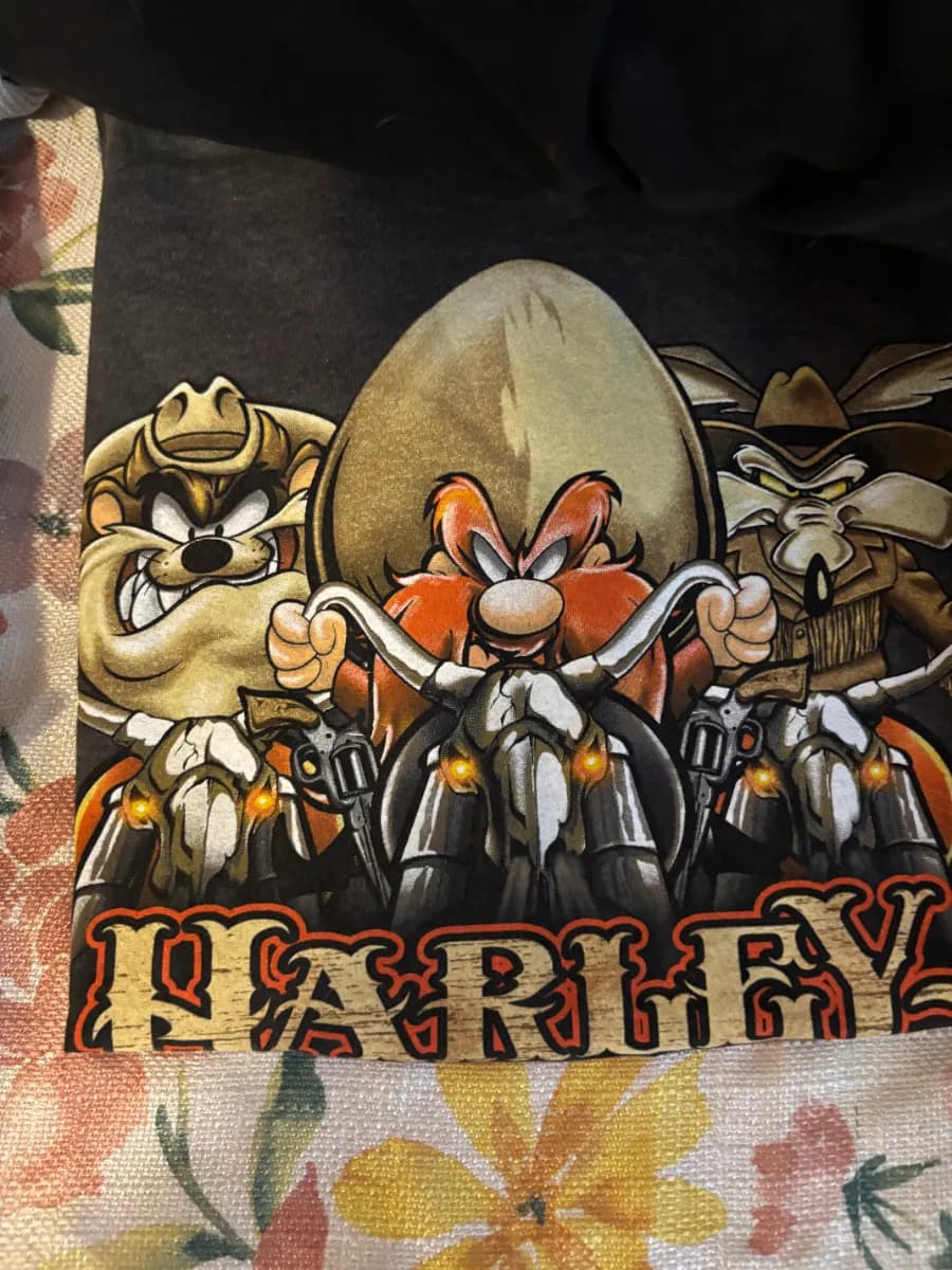 HARLEY CLOTHING, BETTY BOOP COLLECTABLES, QUILTING GOODIES AND SO MUCH MORE IN MESA THIS WEEKEND!!! photo 1