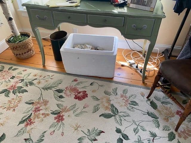 Popponesset Estate Sale photo 5