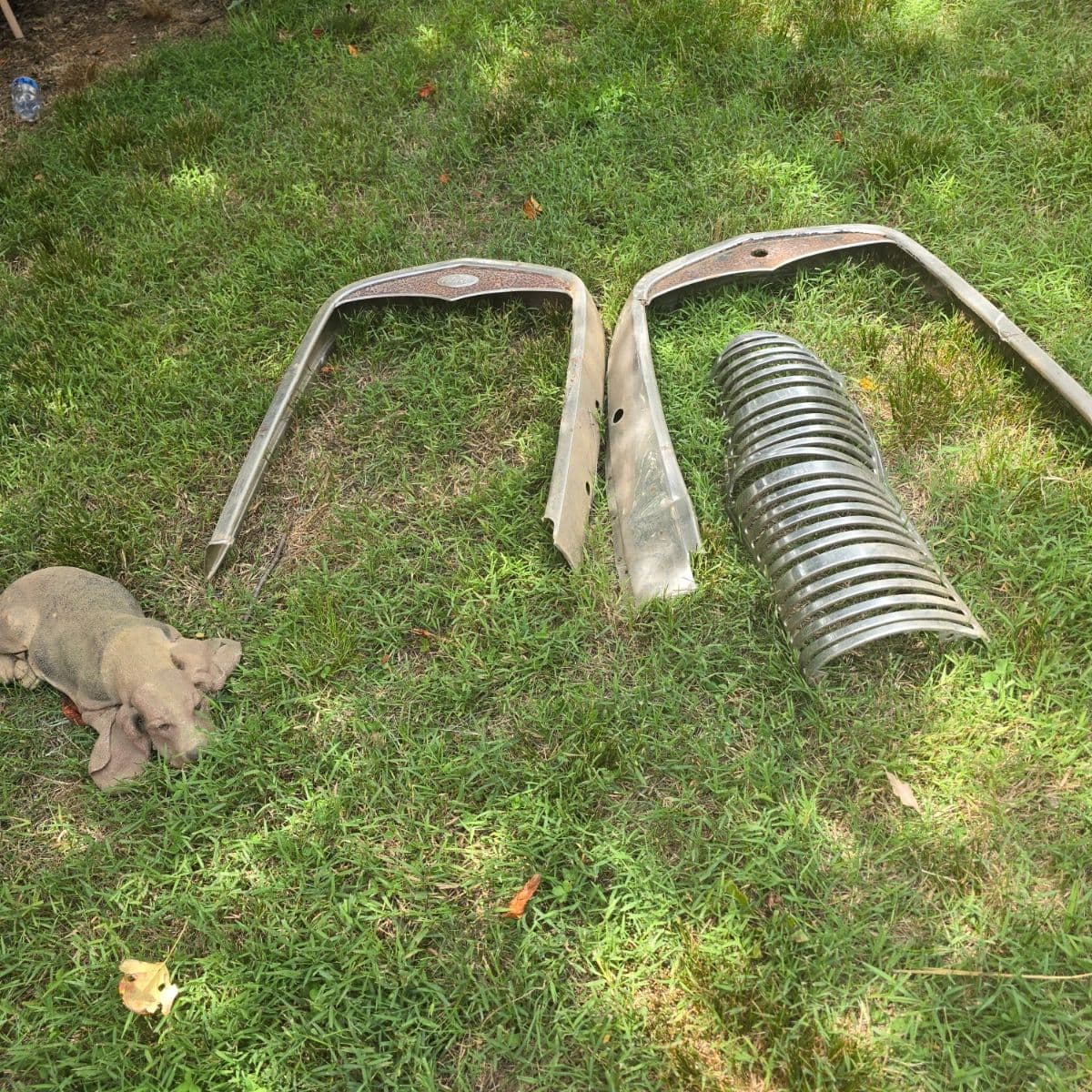 Hoarder Estate Auction (deceased) photo 7