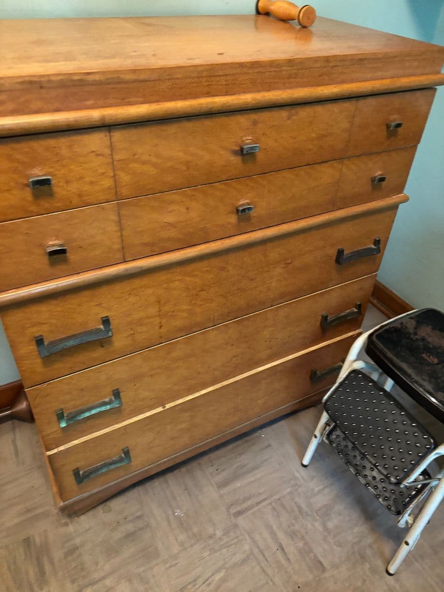 Chicago Brickyard Area / Elmwood Park - Step Into The Past With Everything Mid Century Modern photo 1