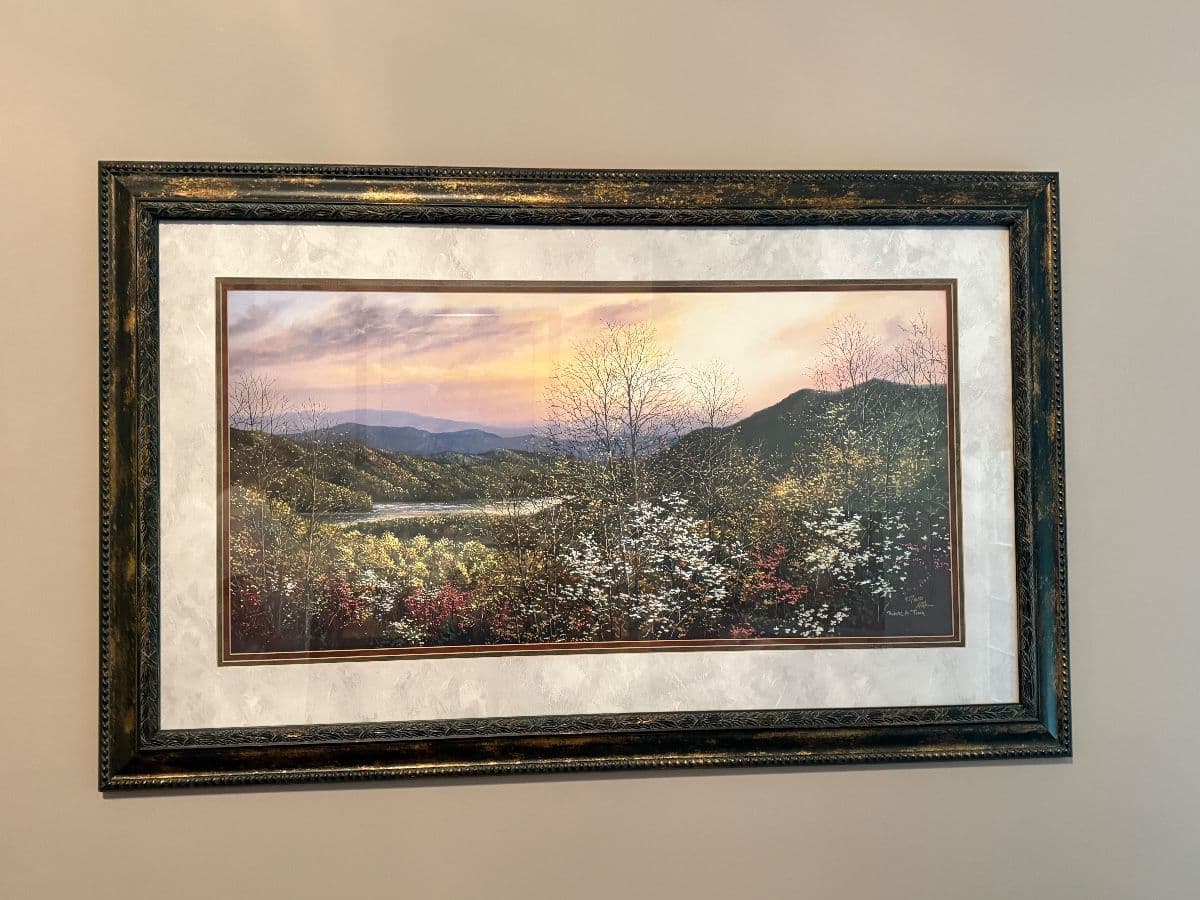 Signal Mtn Estate Sale photo 11