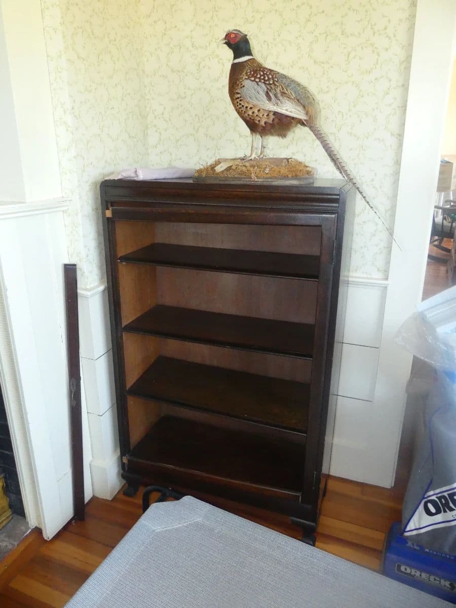Cummaquid Treasures photo 6