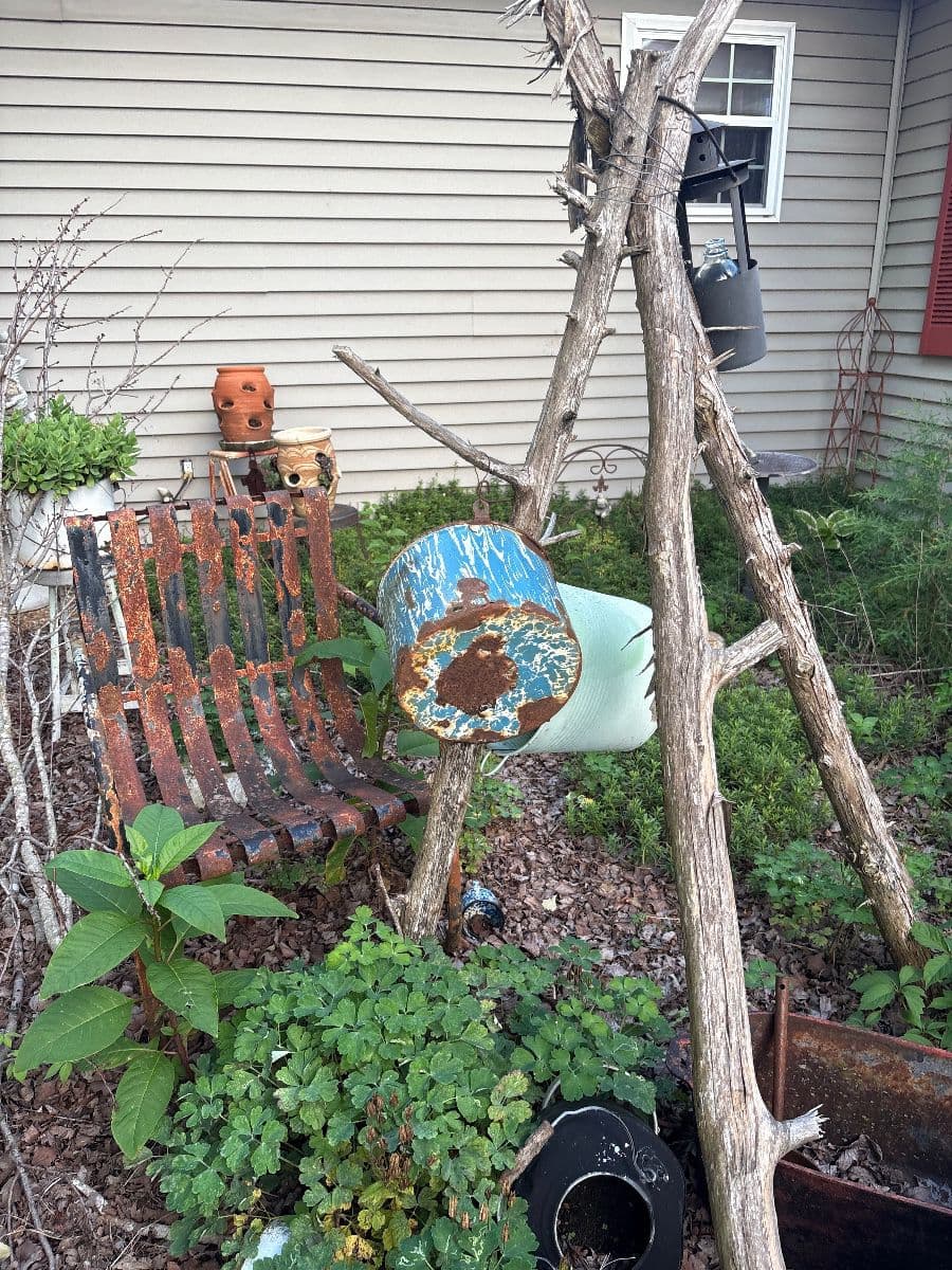 Primitives Sale of the Century photo 5
