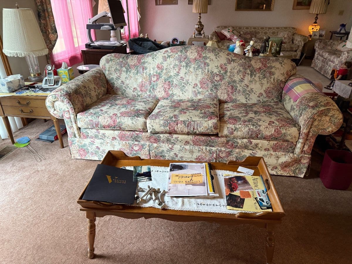 E S O   Estate Sale ~ Farm Road 137, Springfield photo 10