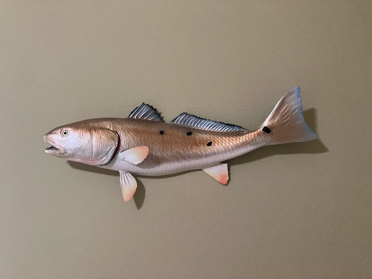 Rockport Country Club Living Estate Sale photo 12