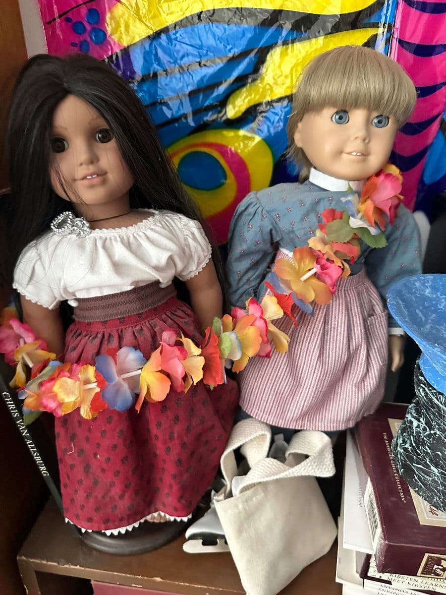Phase 1: Treasure-Filled Schaumburg Estate Sale – Something for Everyone! photo 2