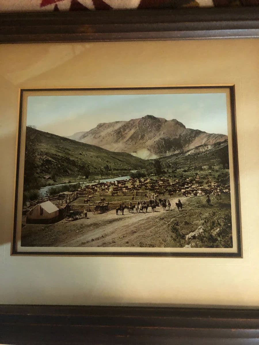 Over 50 years of collecting Antiques, Native American & Western items photo 4