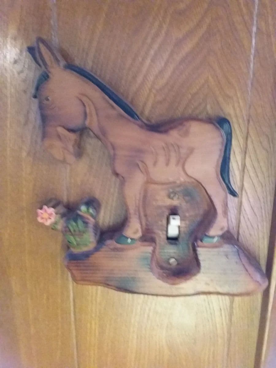 Ree Salter Wits End Ranch photo 4