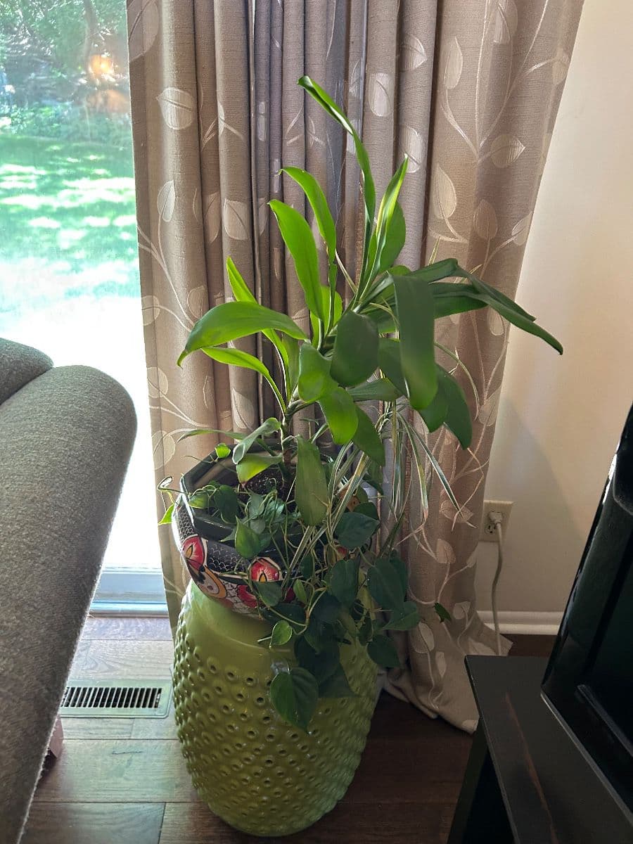 Stardust Estate Sales - Beautiful Condo - Home Decor, Garden, Clothing, Holiday photo 5