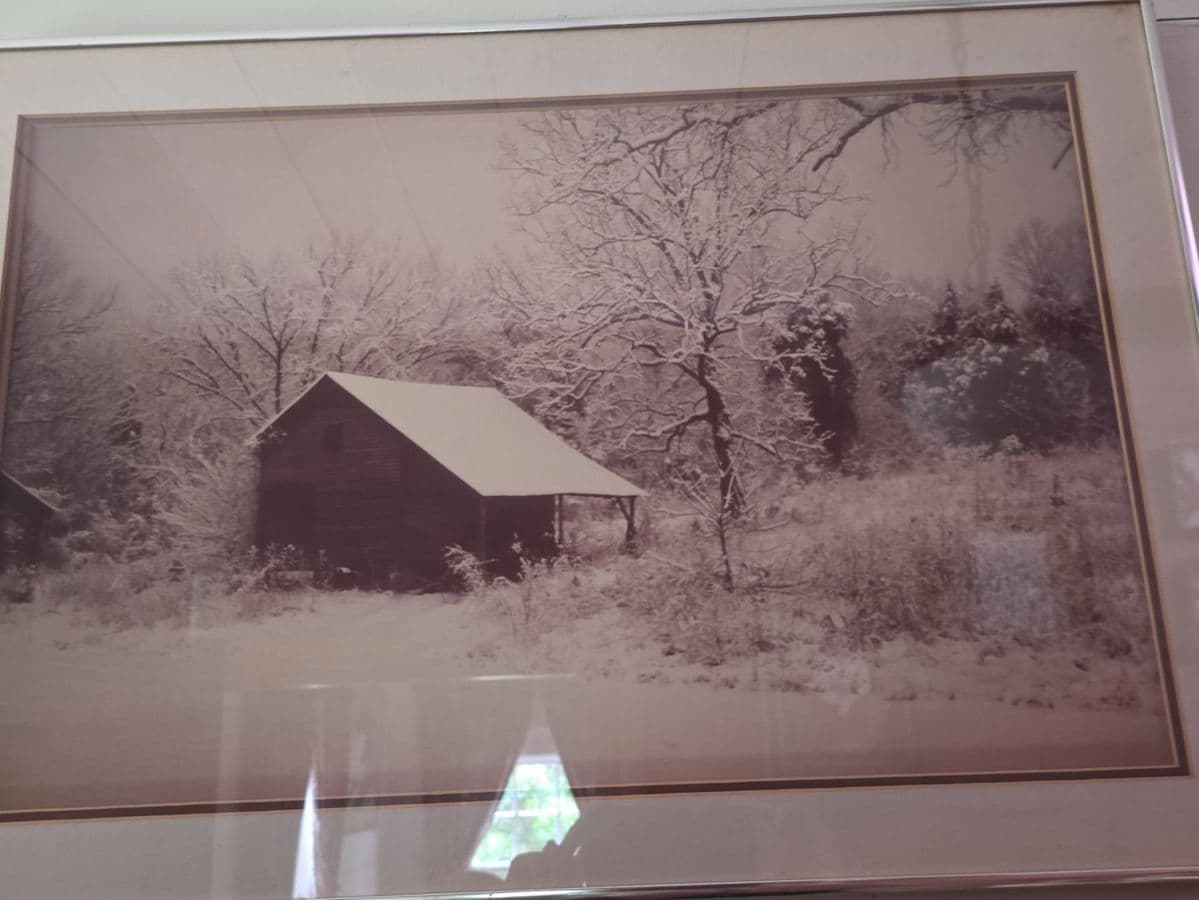 Greatness in Greenback Blue Moon Estate Sale photo 7