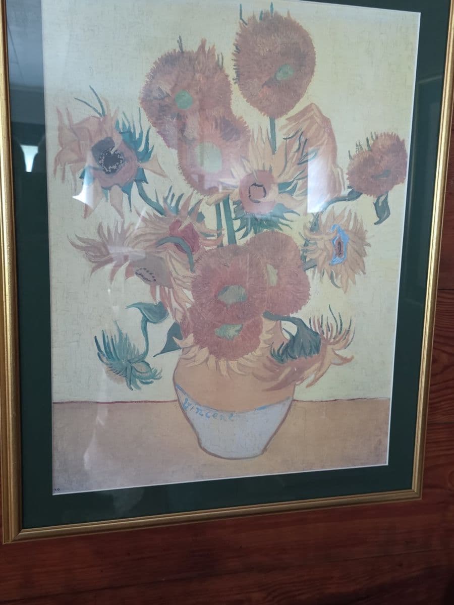 Greatness in Greenback Blue Moon Estate Sale photo 5