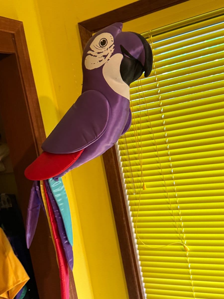 Welcome to the house of cute! photo 4