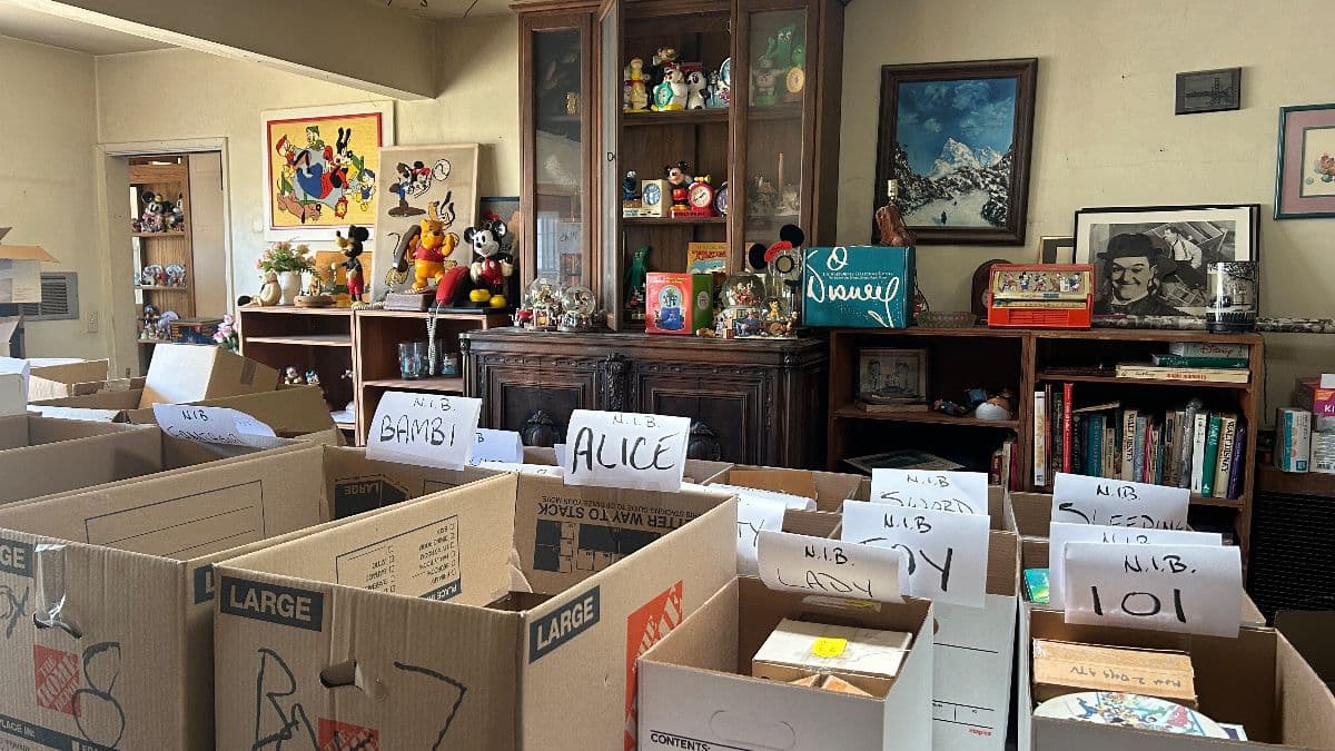 Ultimate Blow Out Disney Collector’s Estate Sale! photo 12