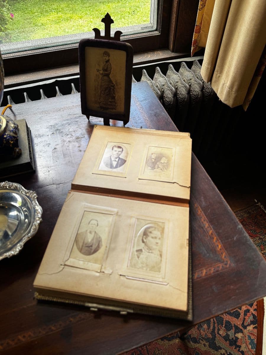 Incredible Historic Marietta Estate- Antiques, Books, China, Rugs & More!!! photo 12