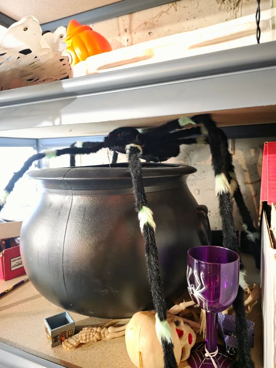 Beacon Hill Estate Sale photo 8