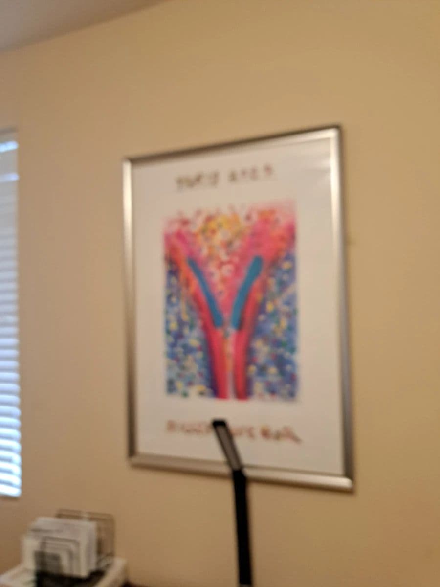 San Jacinto Estate Sale photo 4