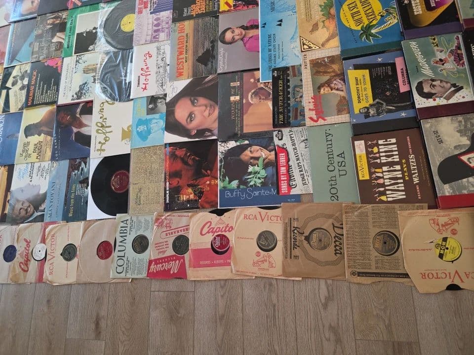 Small Estate Sale: ATV, Tools, Saddles, Vinyls & Much More! photo 10