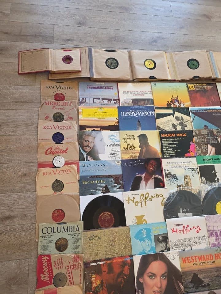 Small Estate Sale: ATV, Tools, Saddles, Vinyls & Much More! photo 8