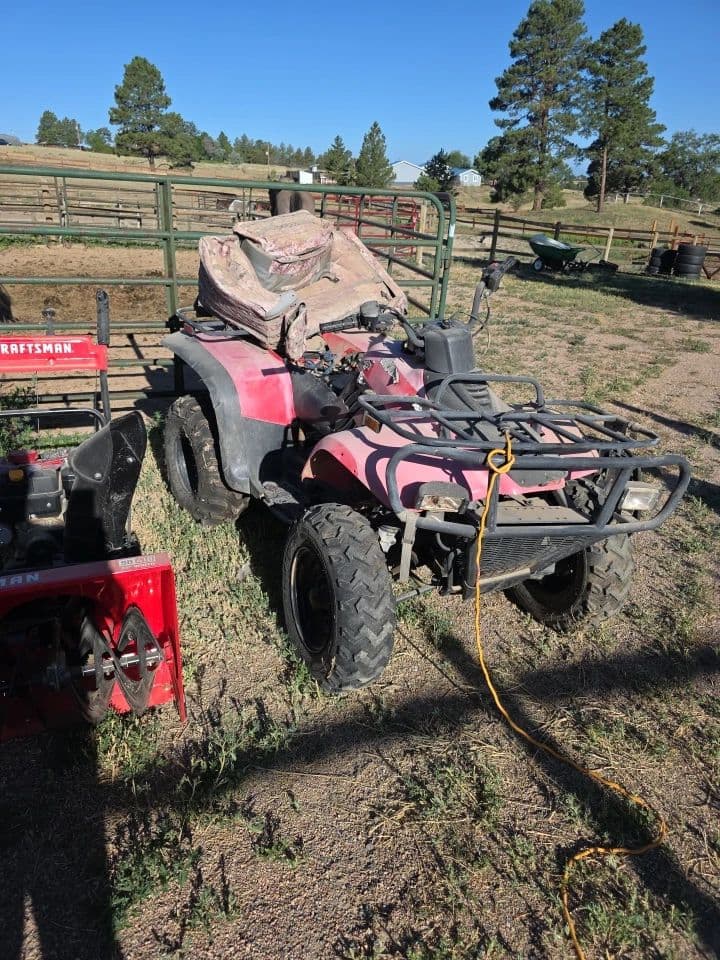 Small Estate Sale: ATV, Tools, Saddles, Vinyls & Much More! photo 1