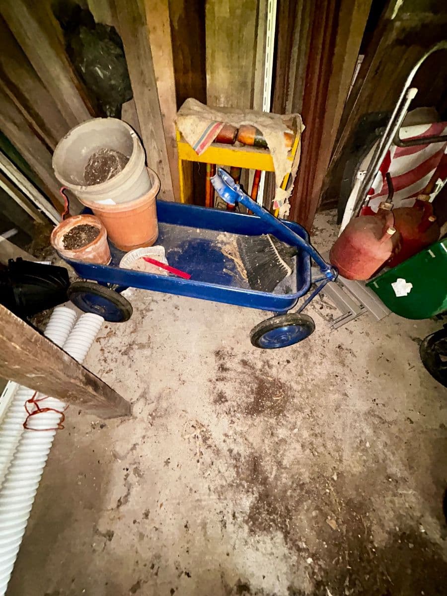 Huge public auction photo 12