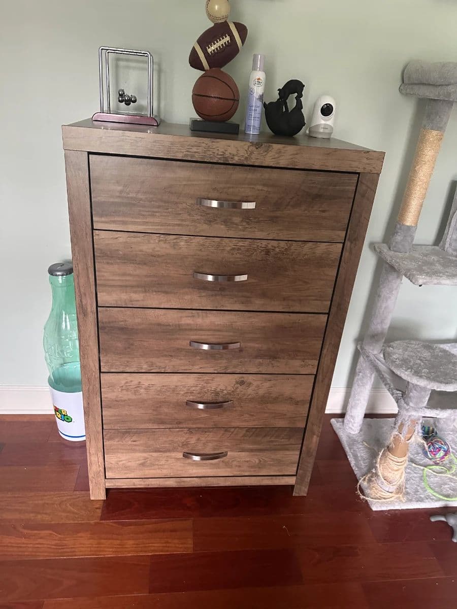 Poshlando in Valrico– Vacation Home Estate Sale with Golf Cart, E-Bikes & Coastal Furnishings photo 8