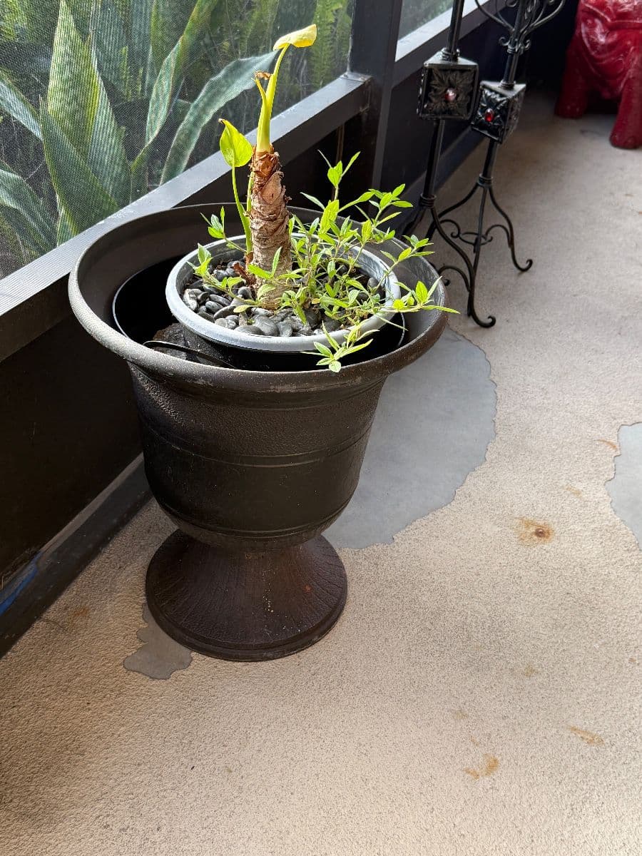 CANT TAKE IT WITH YOU - ESTATE SALE photo 5