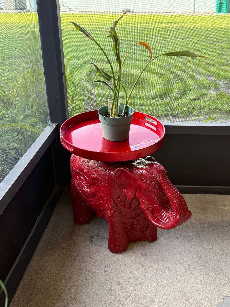 CANT TAKE IT WITH YOU - ESTATE SALE photo 4