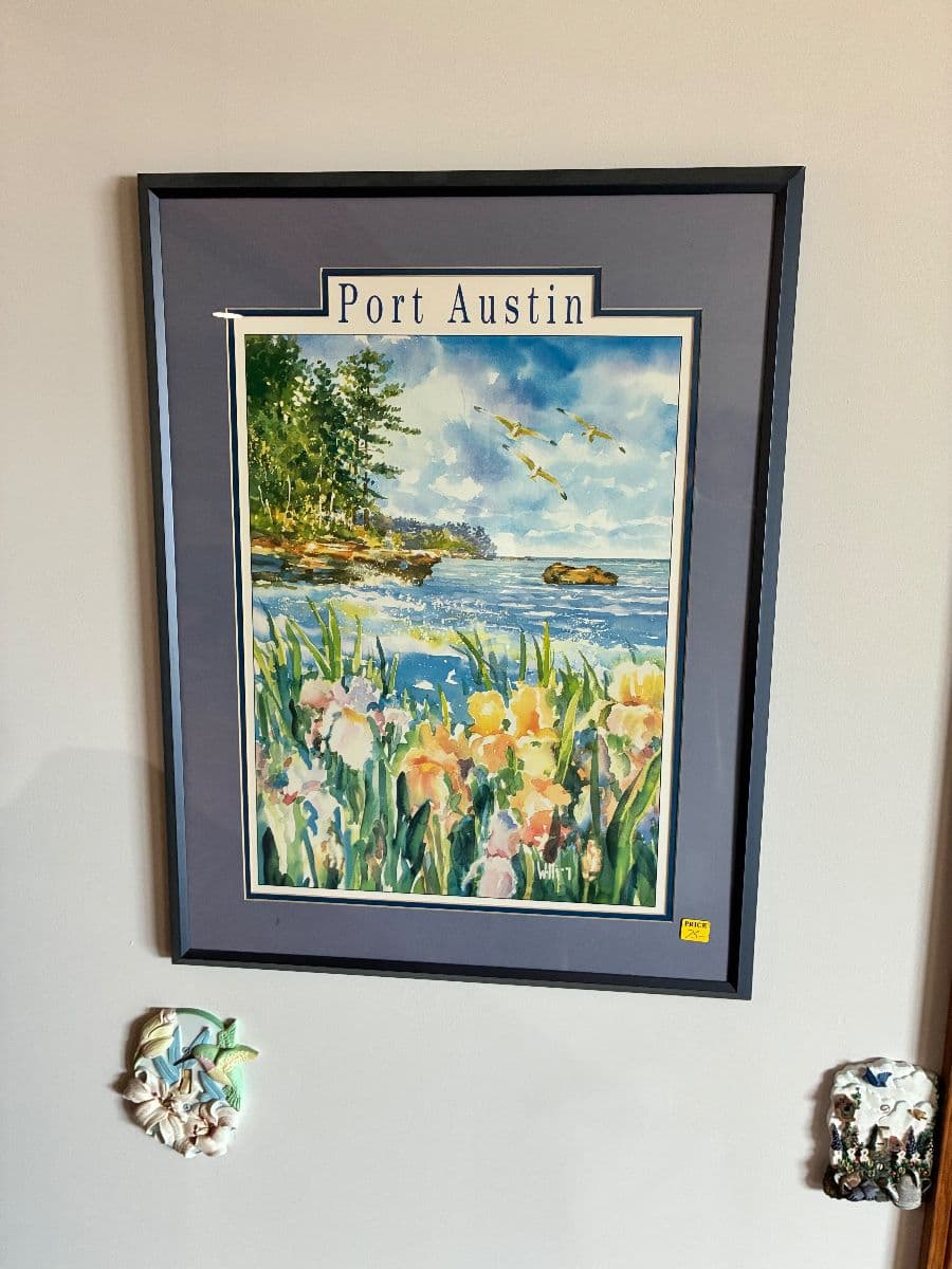 Over 50 Years of Collecting Estate Sale photo 7