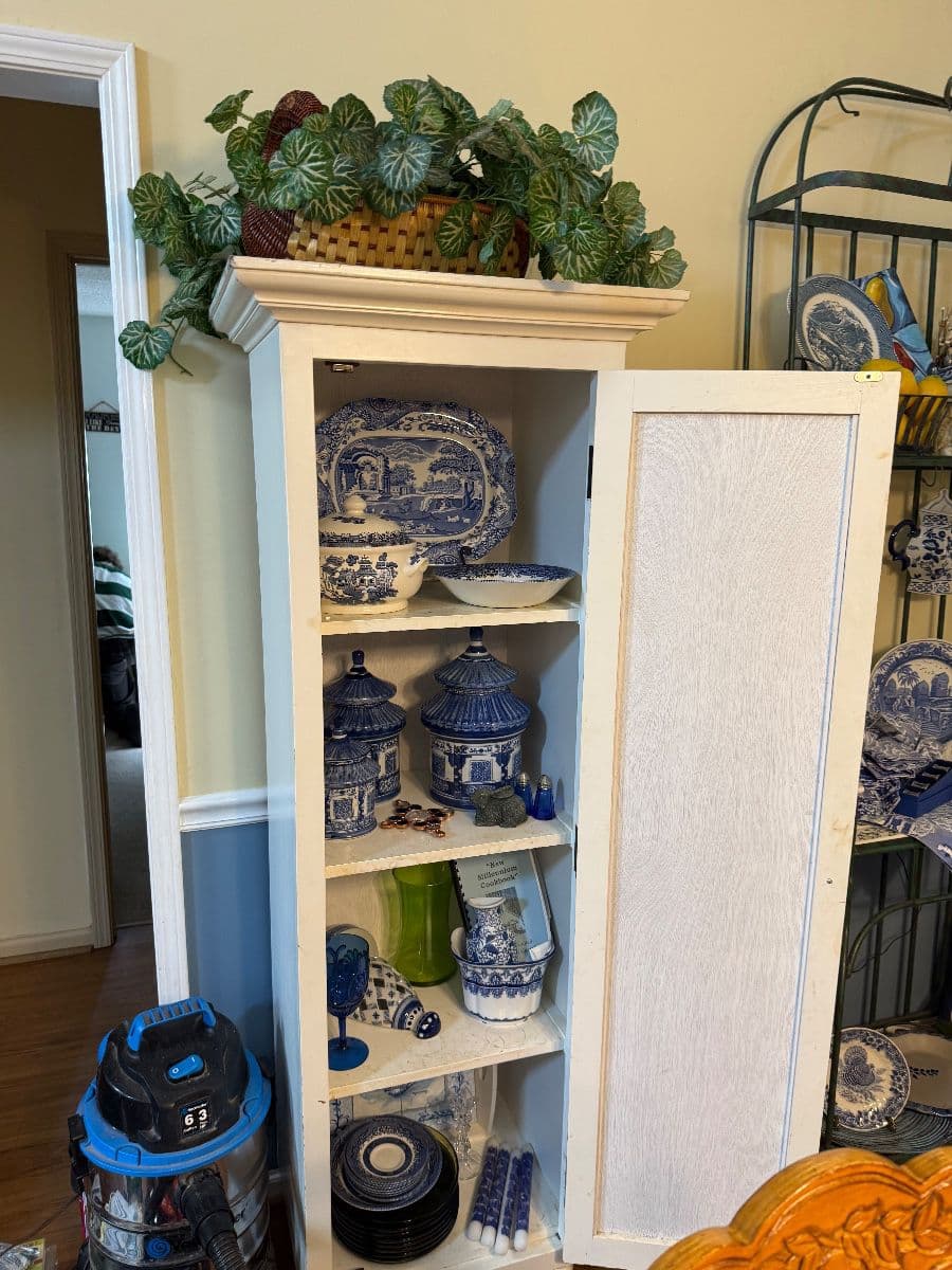 Blue and white delight!! photo 1
