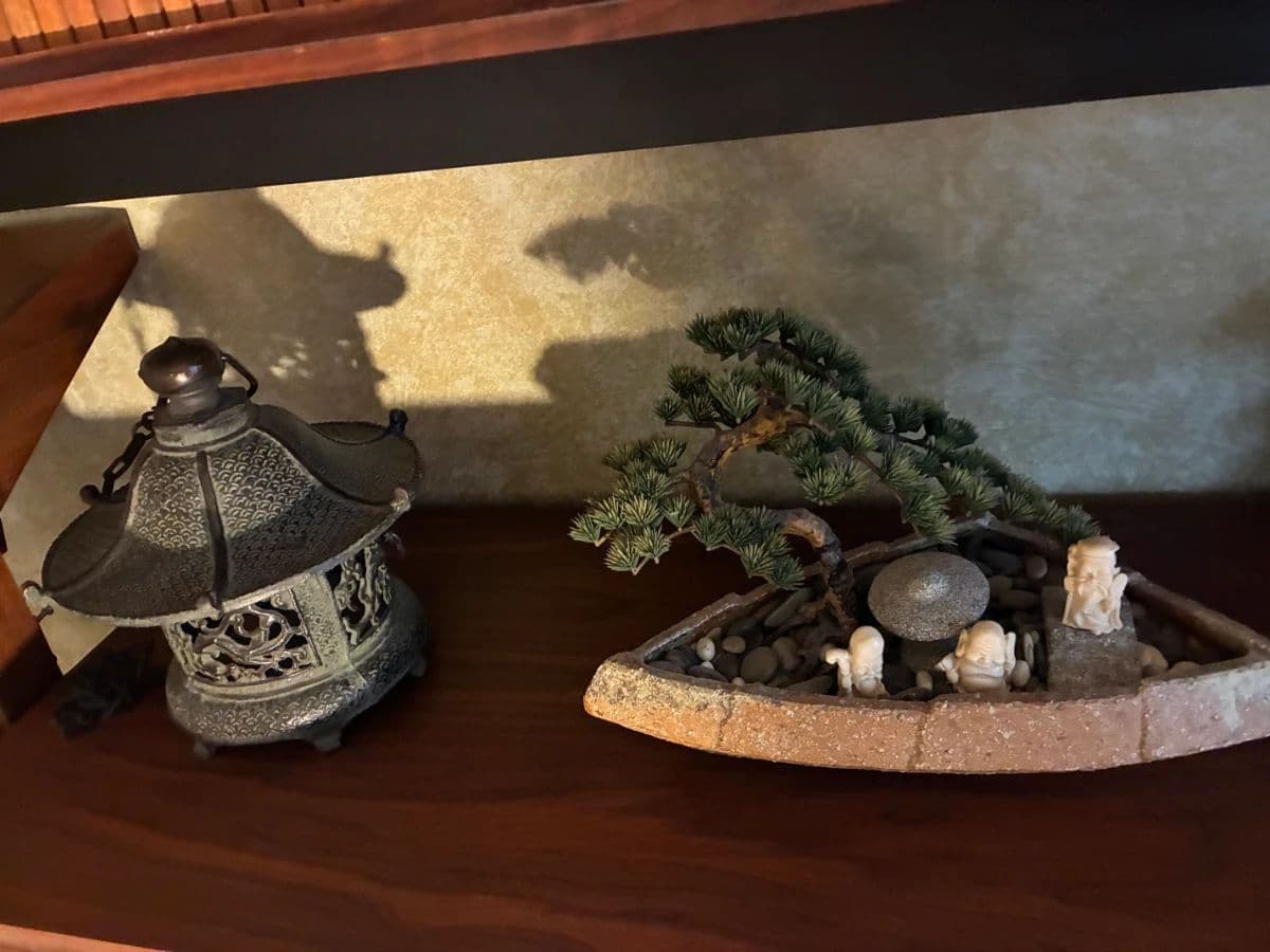 Mid Century Time Capsule featuring Massive Collection of Green Bay Packer Items photo 5