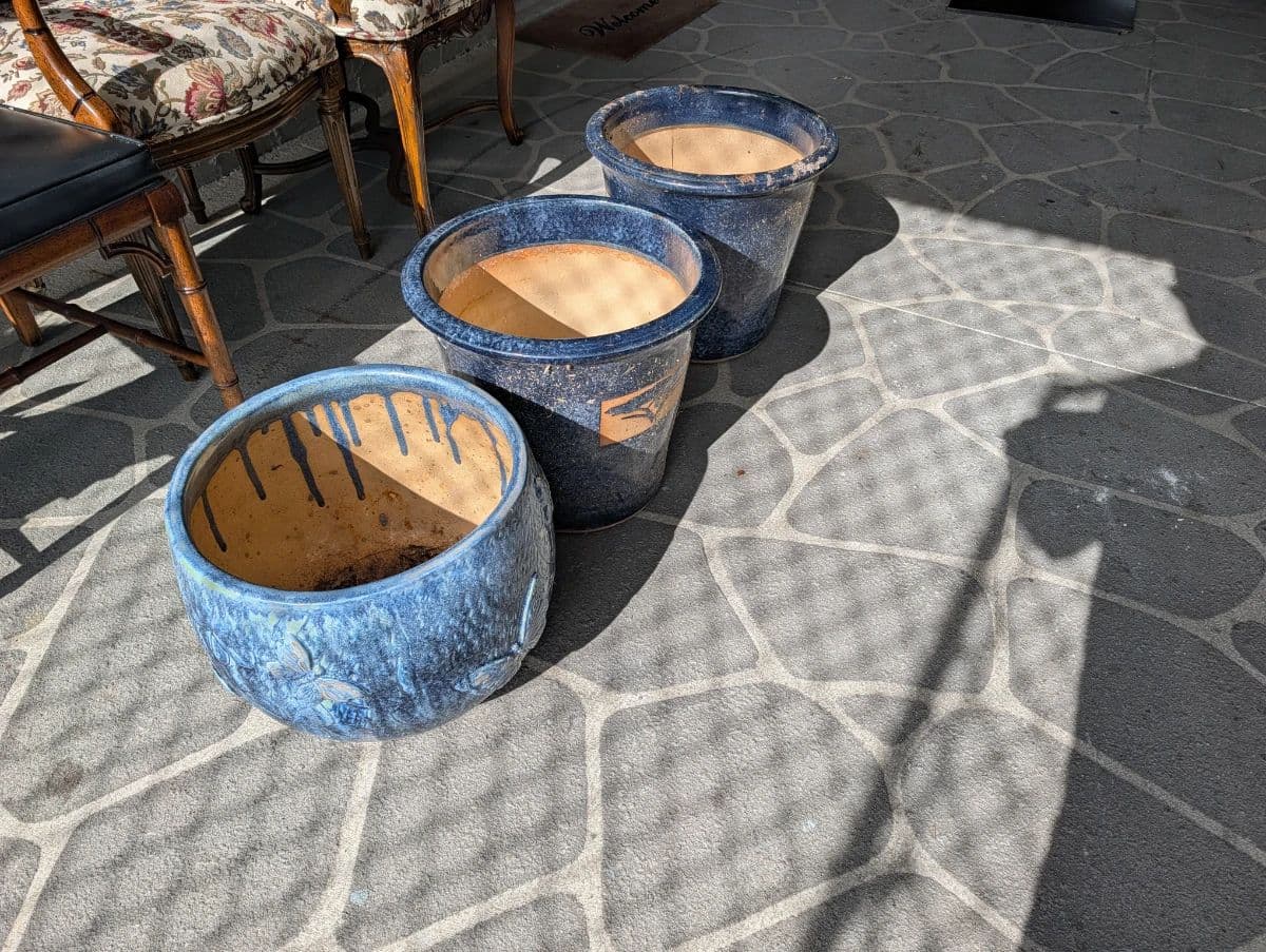Live Auction Starts at 11:30 AM 8/8/26 – Don’t Miss Out photo 11