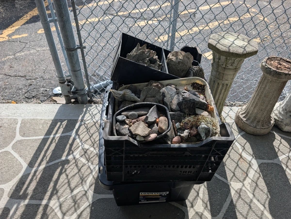 Live Auction Starts at 11:30 AM 8/8/26 – Don’t Miss Out photo 12