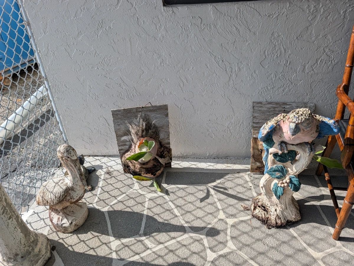 Live Auction Starts at 11:30 AM 8/8/26 – Don’t Miss Out photo 10