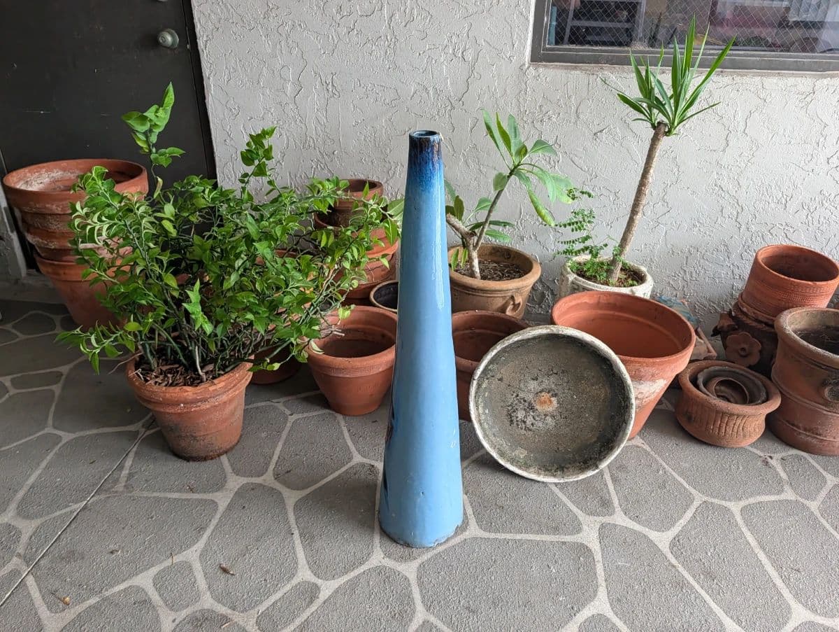 Live Auction Starts at 11:30 AM 8/8/26 – Don’t Miss Out photo 6
