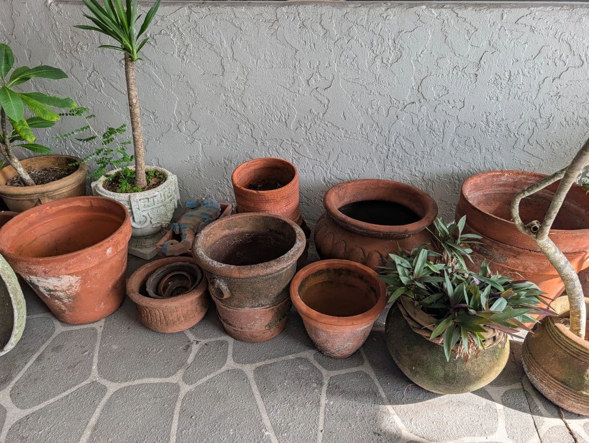 Live Auction Starts at 11:30 AM 8/8/26 – Don’t Miss Out photo 4
