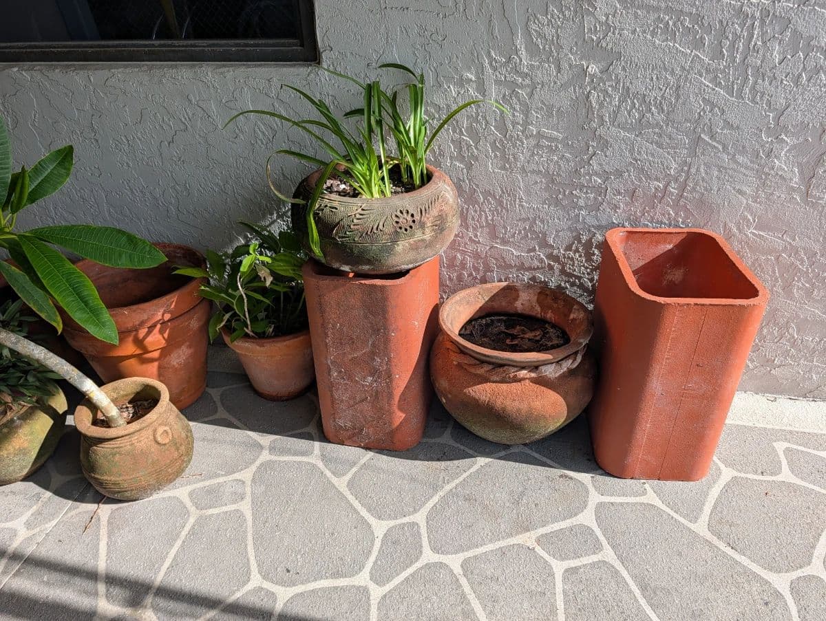 Live Auction Starts at 11:30 AM 8/8/26 – Don’t Miss Out photo 2