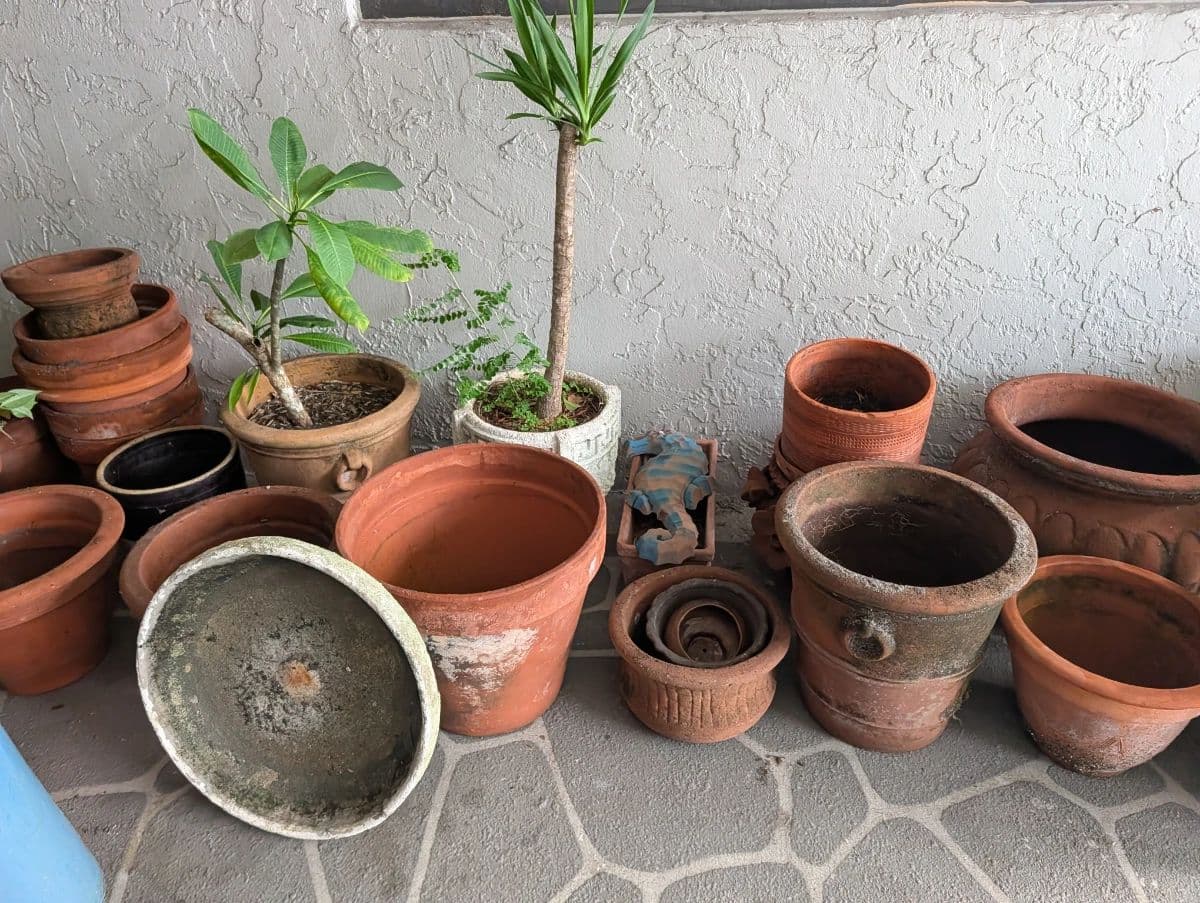 Live Auction Starts at 11:30 AM 8/8/26 – Don’t Miss Out photo 5