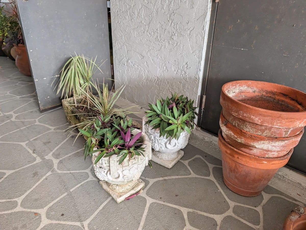 Live Auction Starts at 11:30 AM 8/8/26 – Don’t Miss Out photo 8