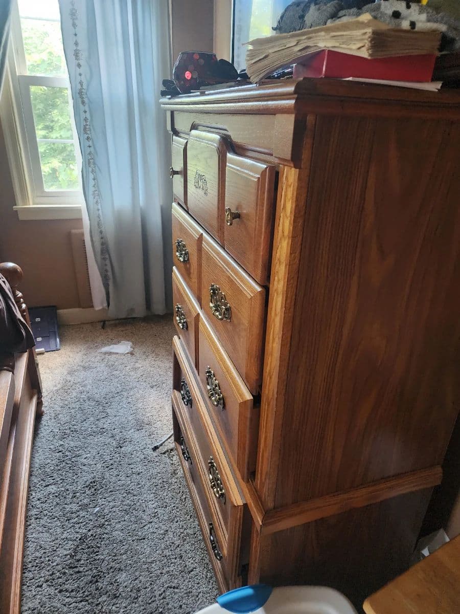 Old Hickory Village Estate Sale, lots of  yard equipment to video games photo 6