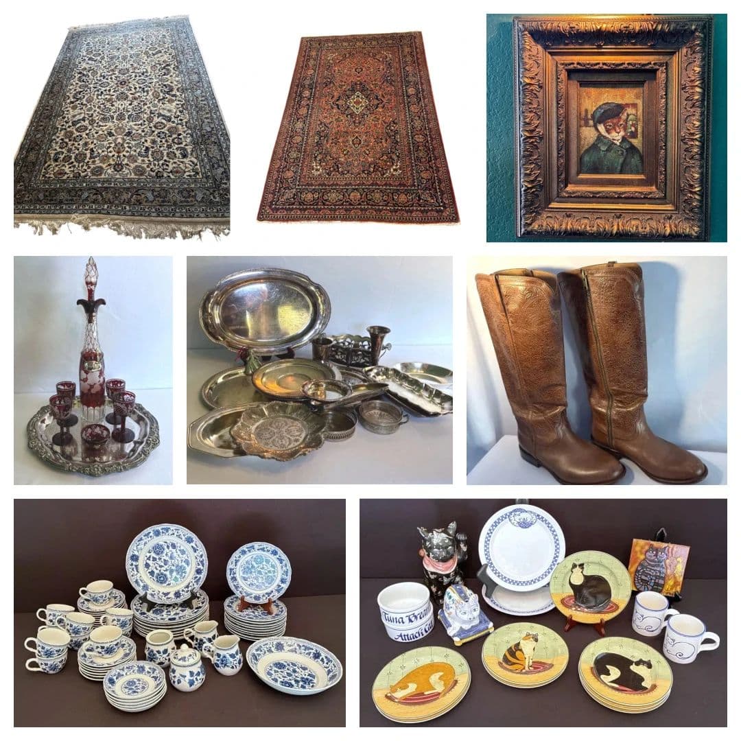 Estate of Discoveries in Boerne, TX Bidding Ends 8/17 photo 9