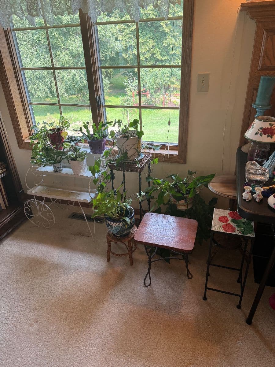 Downsizing Sale in Cannon Falls photo 5