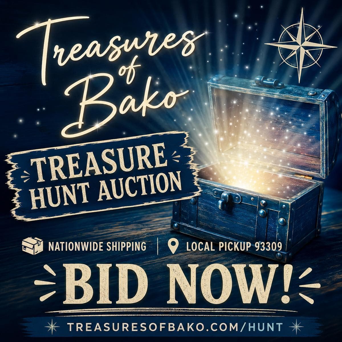 Treasures Of Bako's Treasure Hunt Auction | Nationwide Shipping or Local Pickup 93309 photo 1